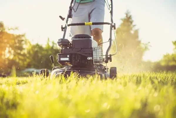 Can You Mow Wet Grass in Van Nuys, CA