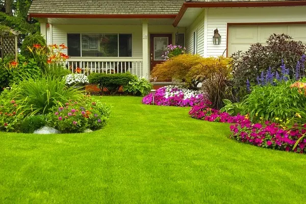 Front & Backyard Landscaping