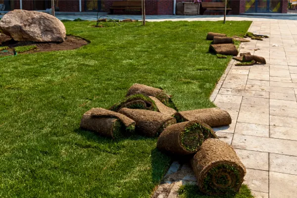 How Long After Installing Sod Can You Walk On It in Van Nuys, CA