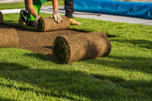 How Long After Installing Sod Can You Walk On It in Van Nuys, CA