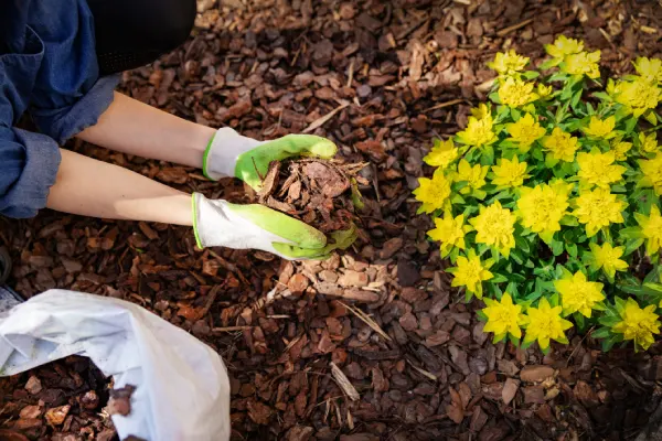 How Long Does Mulch Last in Van Nuys, CA