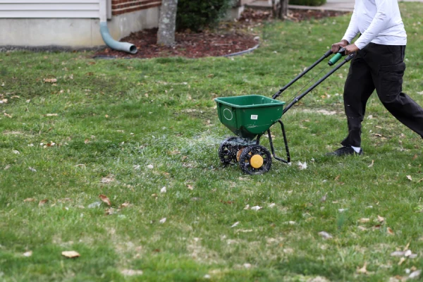 How often should you fertilize your lawn in Van Nuys, CA