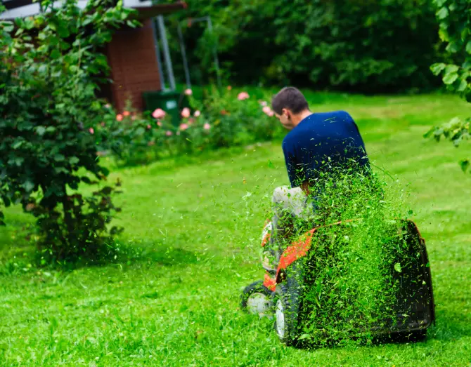 Lawn Mowing in Van Nuys, CA