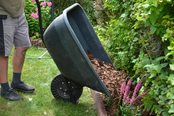 Mulching in Van Nuys, CA