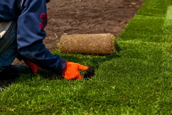 Quality Sod Installation in Van Nuys, CA