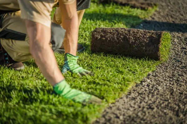 Sod Installation in Van Nuys, CA