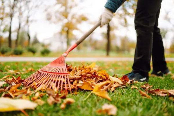 Yard Cleanup in Van Nuys, CA