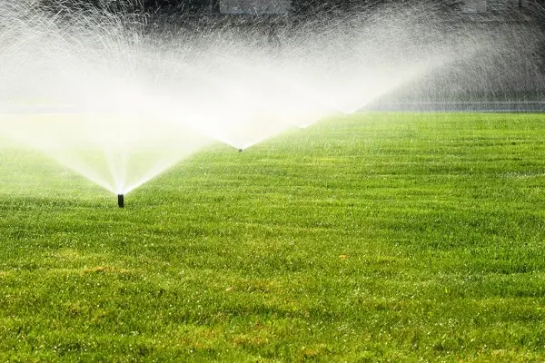 Yard Irrigation Installation